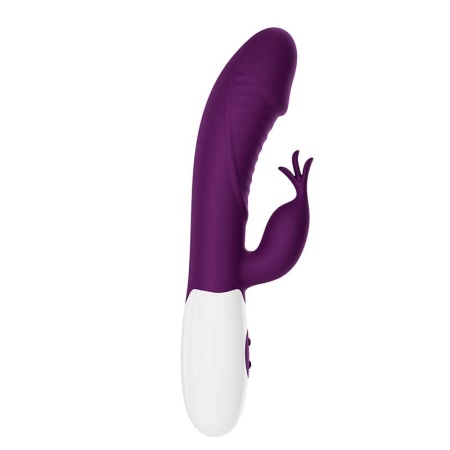 Ljubicasti multifukcionalni vibrator | Rasmussen