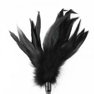 Bič i golicaljka | Crop and Feather Tickler