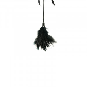 Bič i golicaljka | Crop & Feather Tickler