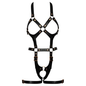 Seksi harness | Harness