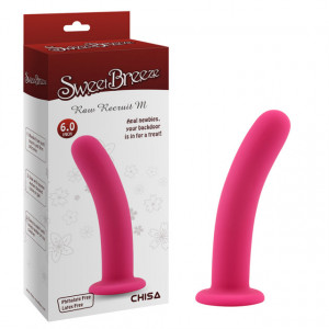 Roze Silikonski Dildo | Raw Recruit M