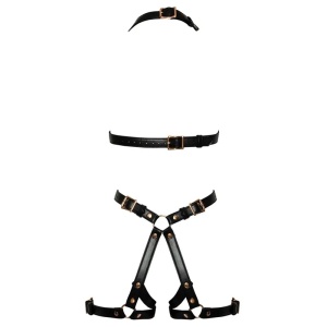 Seksi harness | Harness