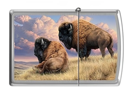 Зажигалка Zippo 200 Prairie Monarchs