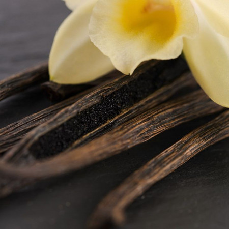 Parfumant Oriental Vanilla (fara alergeni) 10 gr