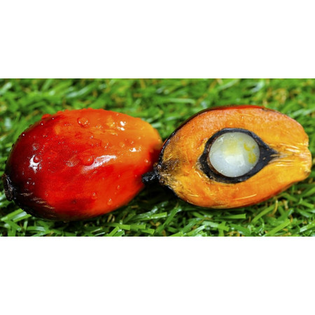 Ulei de palmier 1 kg