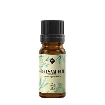 ULEI ESENȚIAL DE BRAD BALSAMIC BIO 10 ml