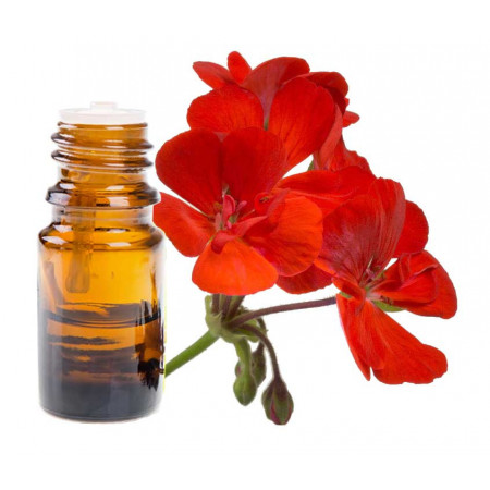 Ulei Esential Geranium 10 ml India