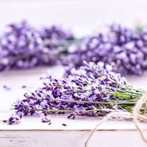 Parfumant Lavanda 10 gr