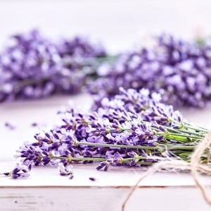 Parfumant Lavanda 10 gr