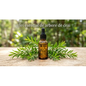 Ulei esential de Tea Tree Arbore de Ceai Australian 10 ml