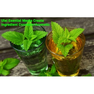 Ulei Esential Menta Creata 10 ml - India