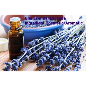 Ulei esential de lavanda 10 ml - India