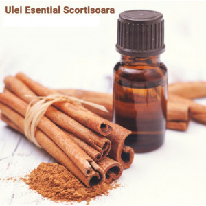 Ulei Esential Scortisoara 10 ml - India