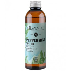 APA DE MENTA BIO 100 ml