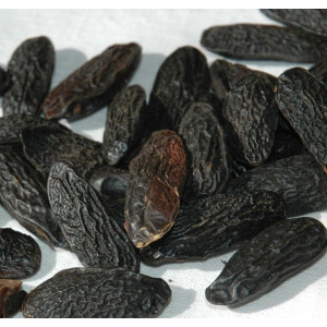 Parfumant African Tonka 10 gr