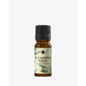 ULEI ESENTIAL DE EUCALIPT RADIATA 10 ml