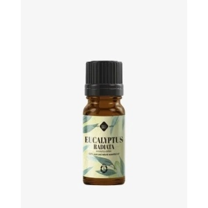 ULEI ESENTIAL DE EUCALIPT RADIATA 10 ml
