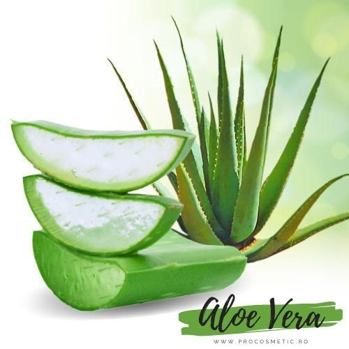 Beneficiile cosmetice ale plantei Aloe Vera
