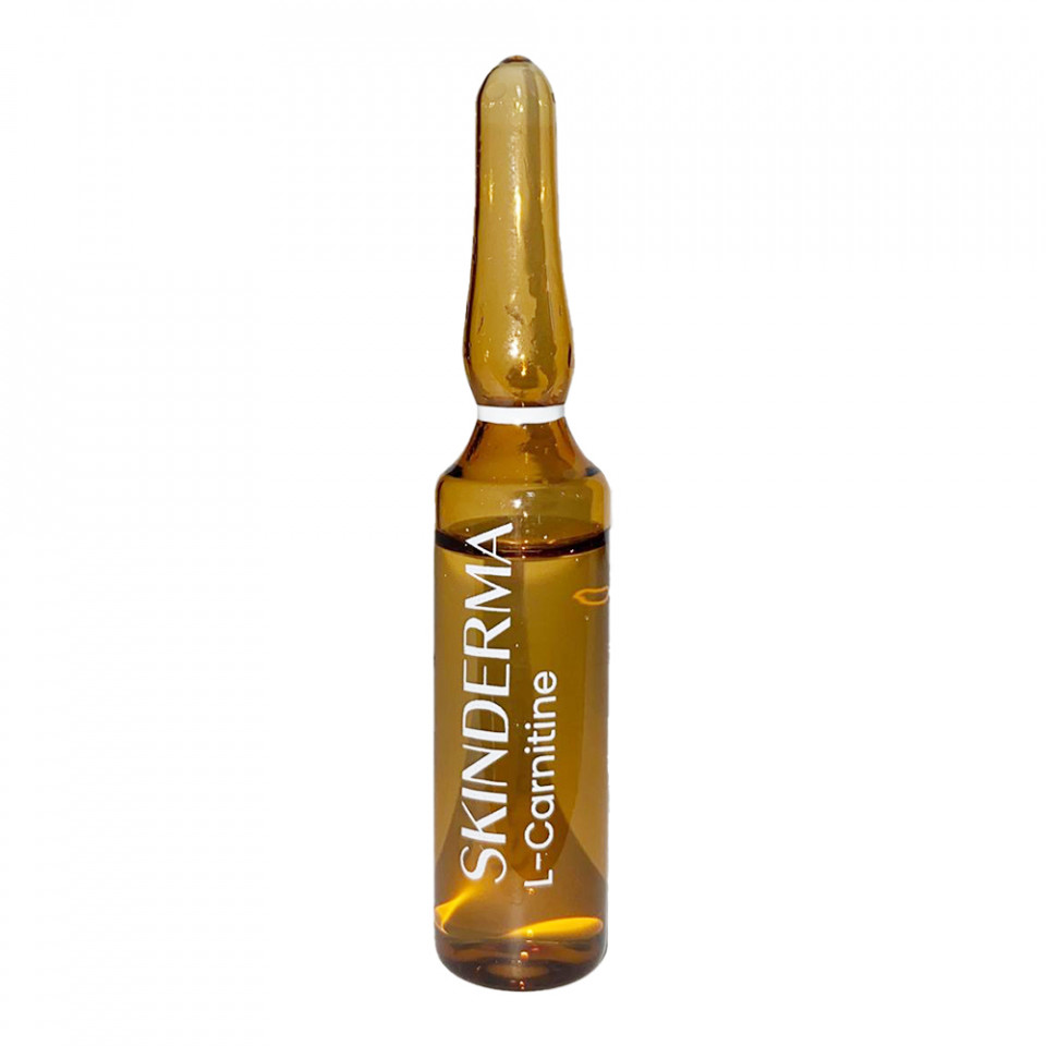 vitamin c lipid metabolites Dorian Yates Liquid L-Carnitine XL 1000 ml