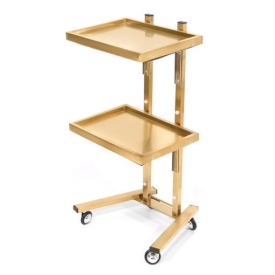 Ucenic metalic pentru salon cu 2 etaje Gold