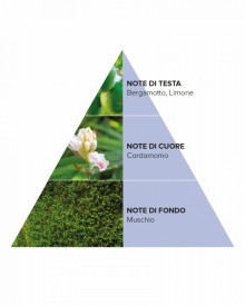 Cotril Ceara pentru definire si separare cu aspect umed Crystal 100ml