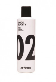 Artego Good Society Rich Color 02 Sampon pentru par vopsit 250 ml