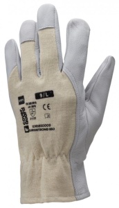 MANUSI EUROSTRONG 850