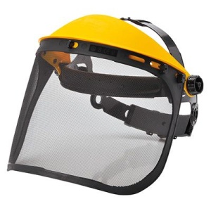 PW93 Viziera din Plasa