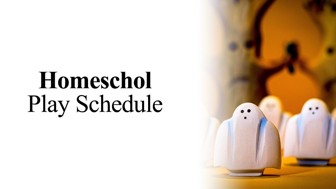 Creating a Simple Homeschooling Daily Schedule Play for Your Family