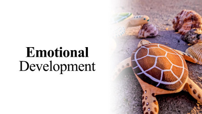 The Role of Wooden Toys in Emotional Development