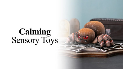 Calming Sensory Toys for Toddlers & Kids