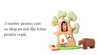 5 Motive Pentru Care Sa Alegi Jucarii Din Lemn Pentru Copii