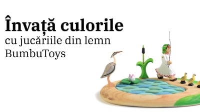 Invata Culorile Cu Jucariile Din Lemn Bumbu Toys