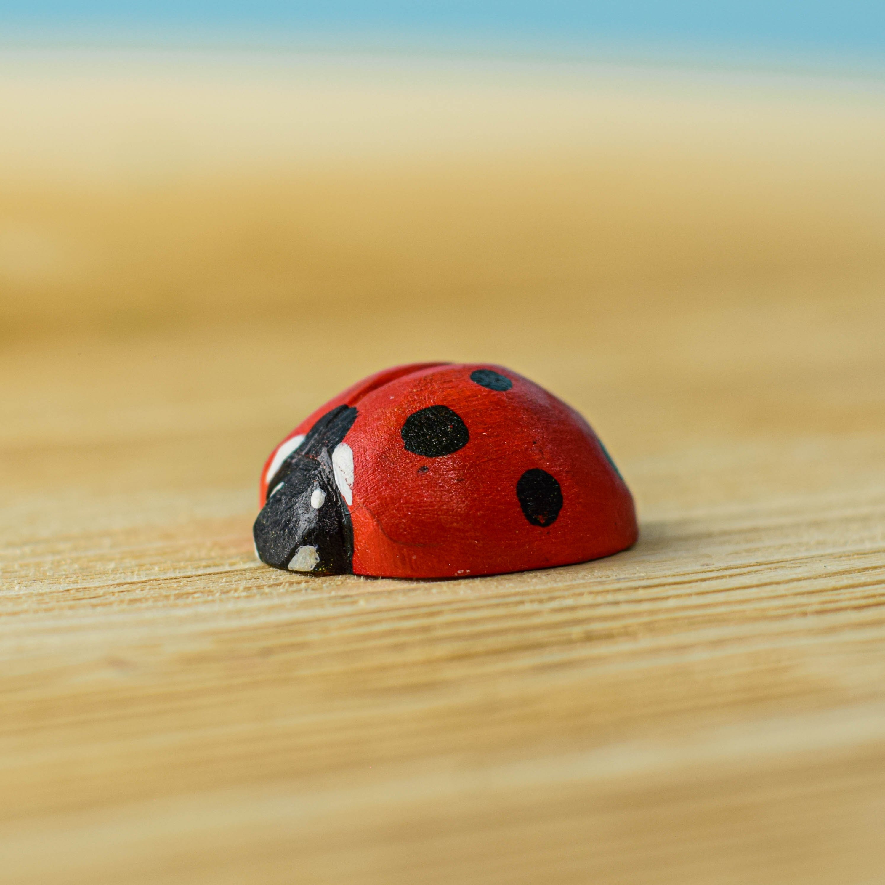 Ladybug