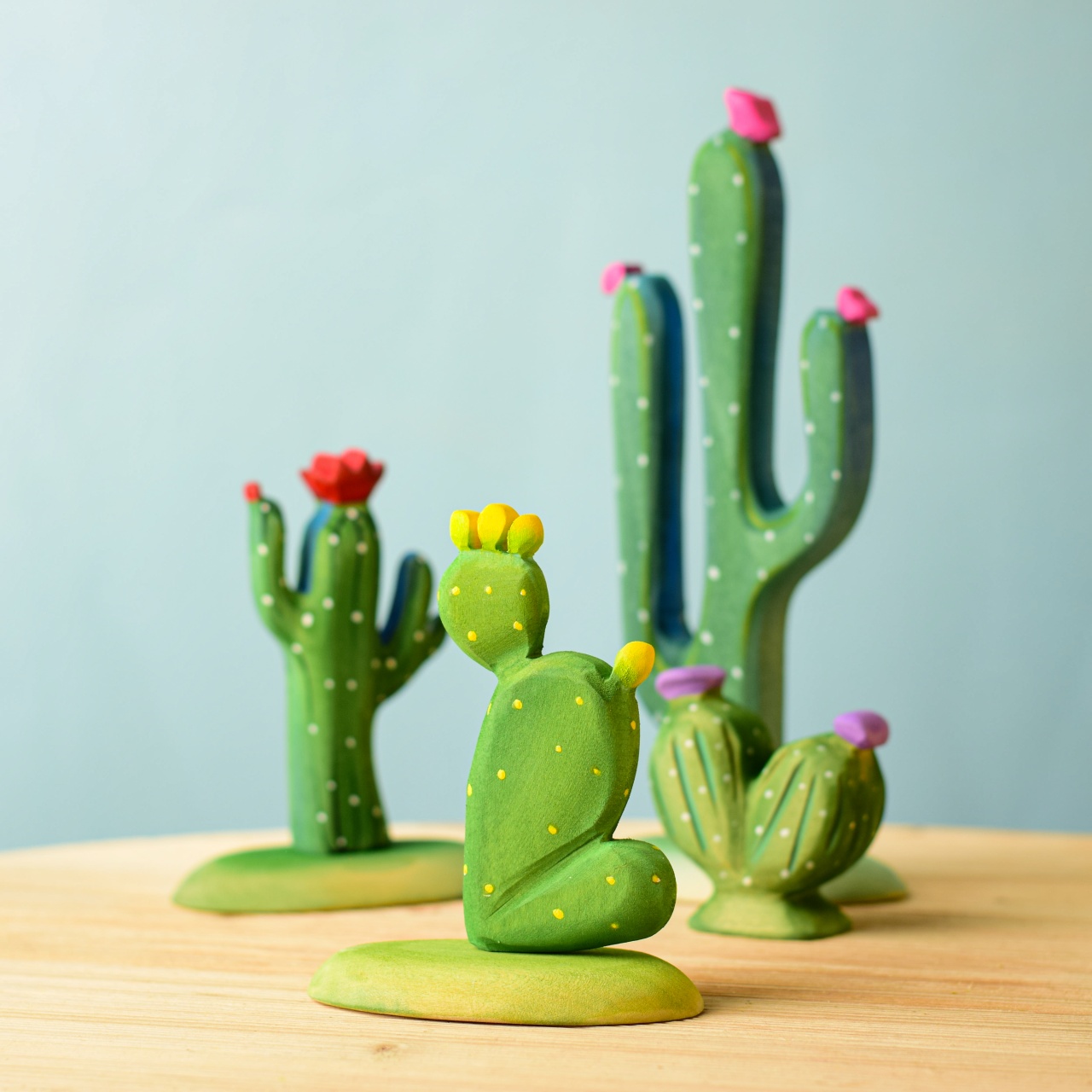 Cactus cu Fruct