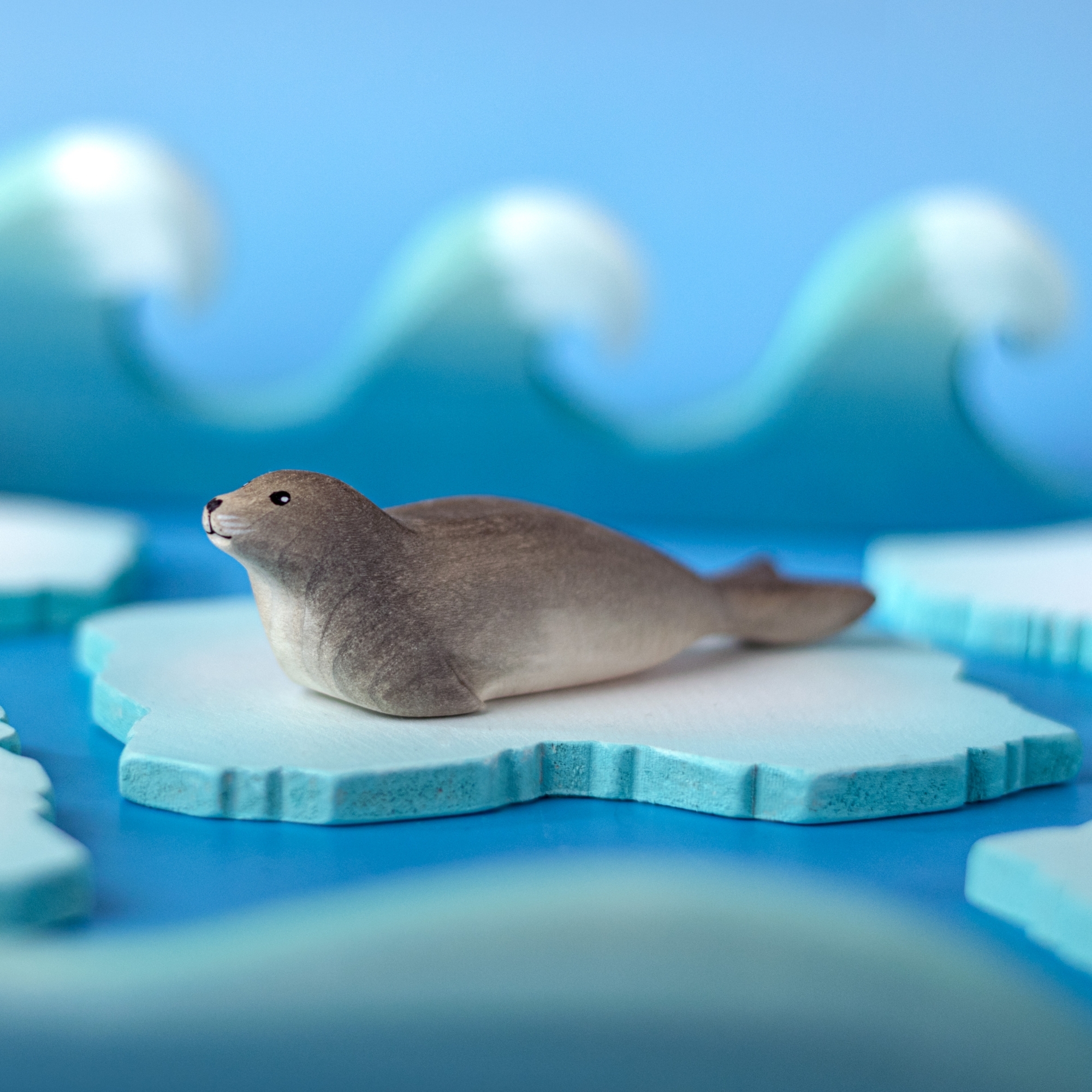 Focă Arctică