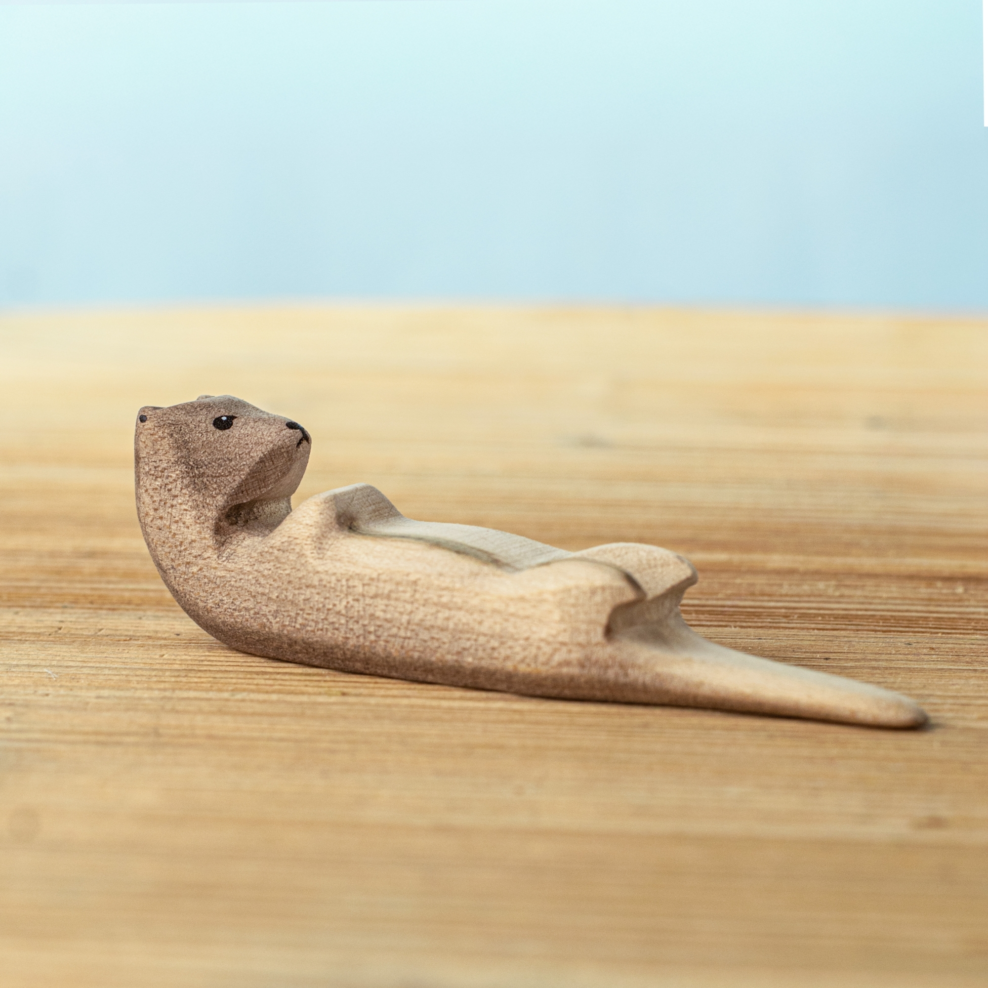 Otter Sleeping Special