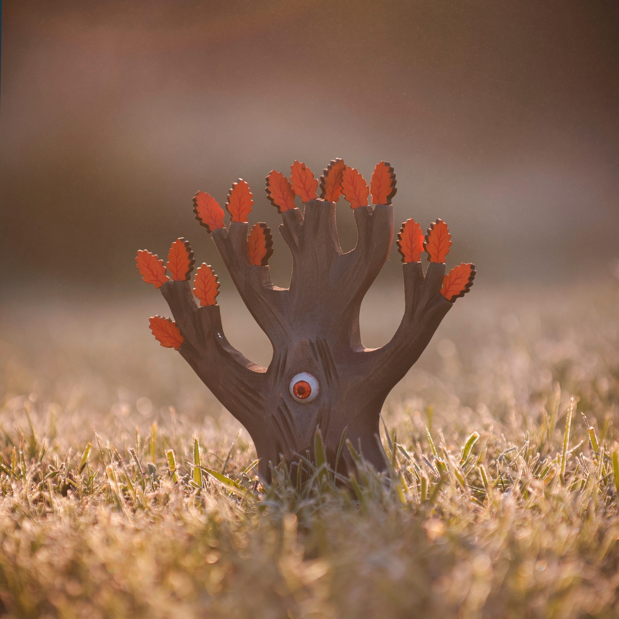 Watching Oak Orange – Wooden Autumn Tree | Bumbu Toys