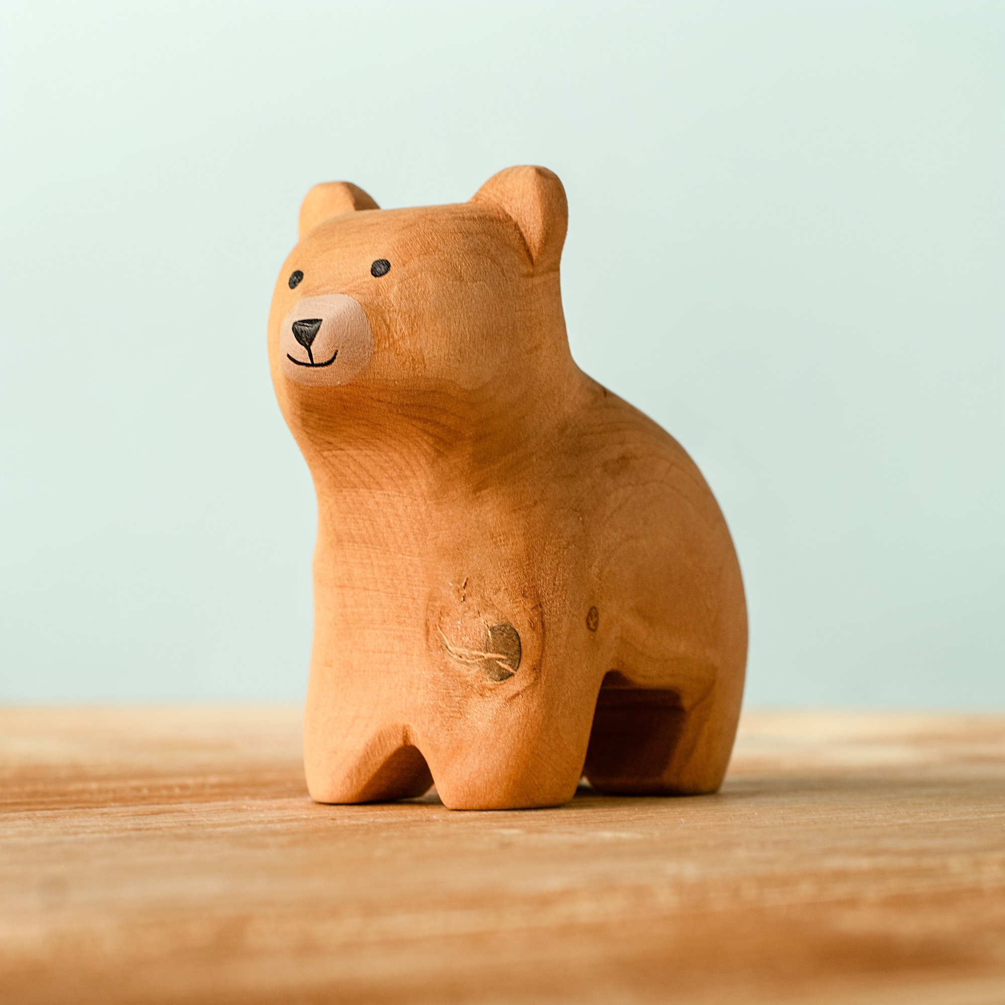 Curious Bear Special