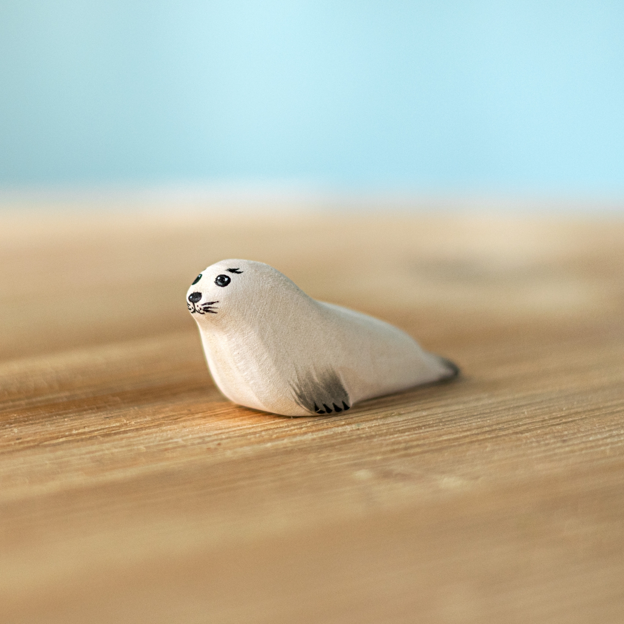 Harp Seal Pup