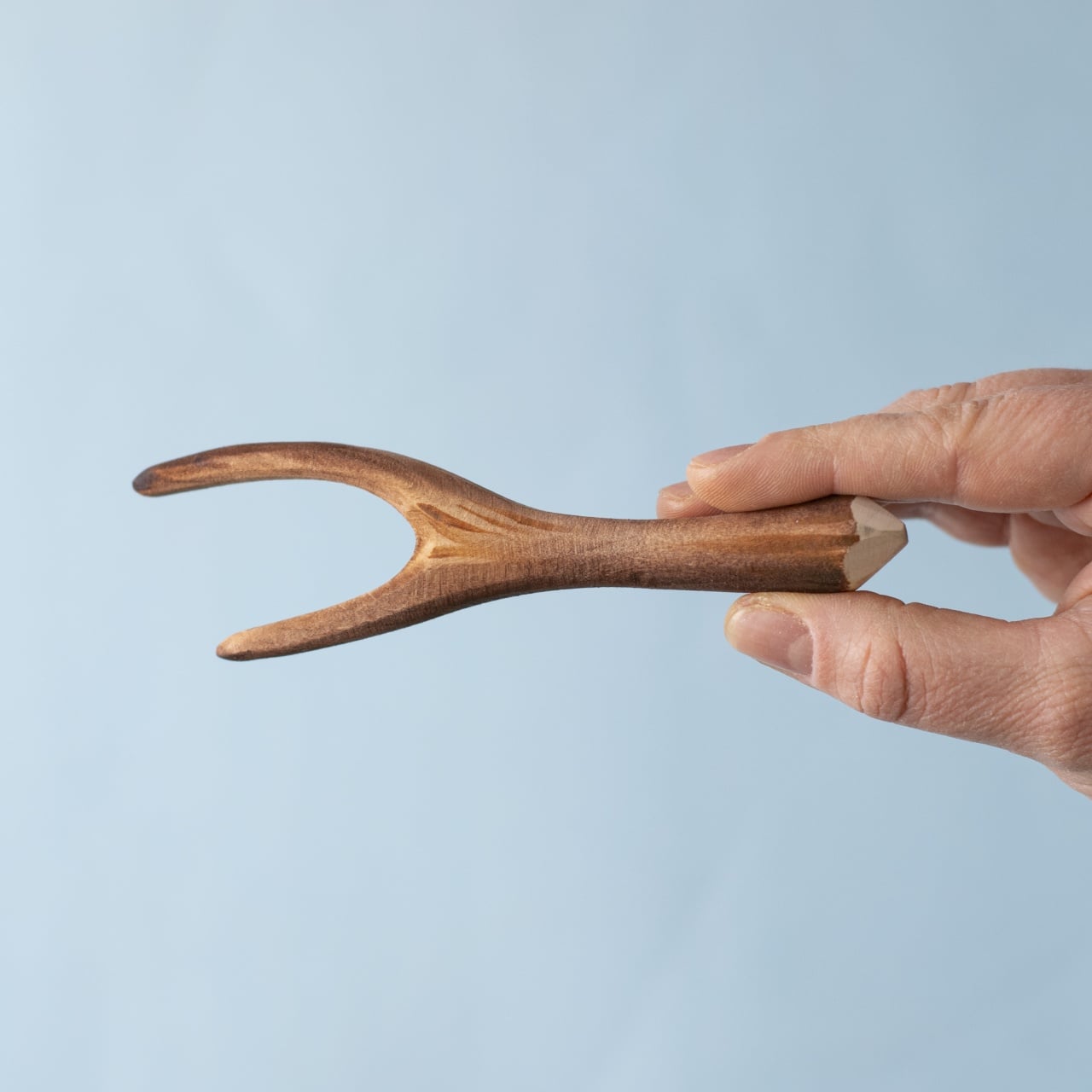 Black Poplar Branch