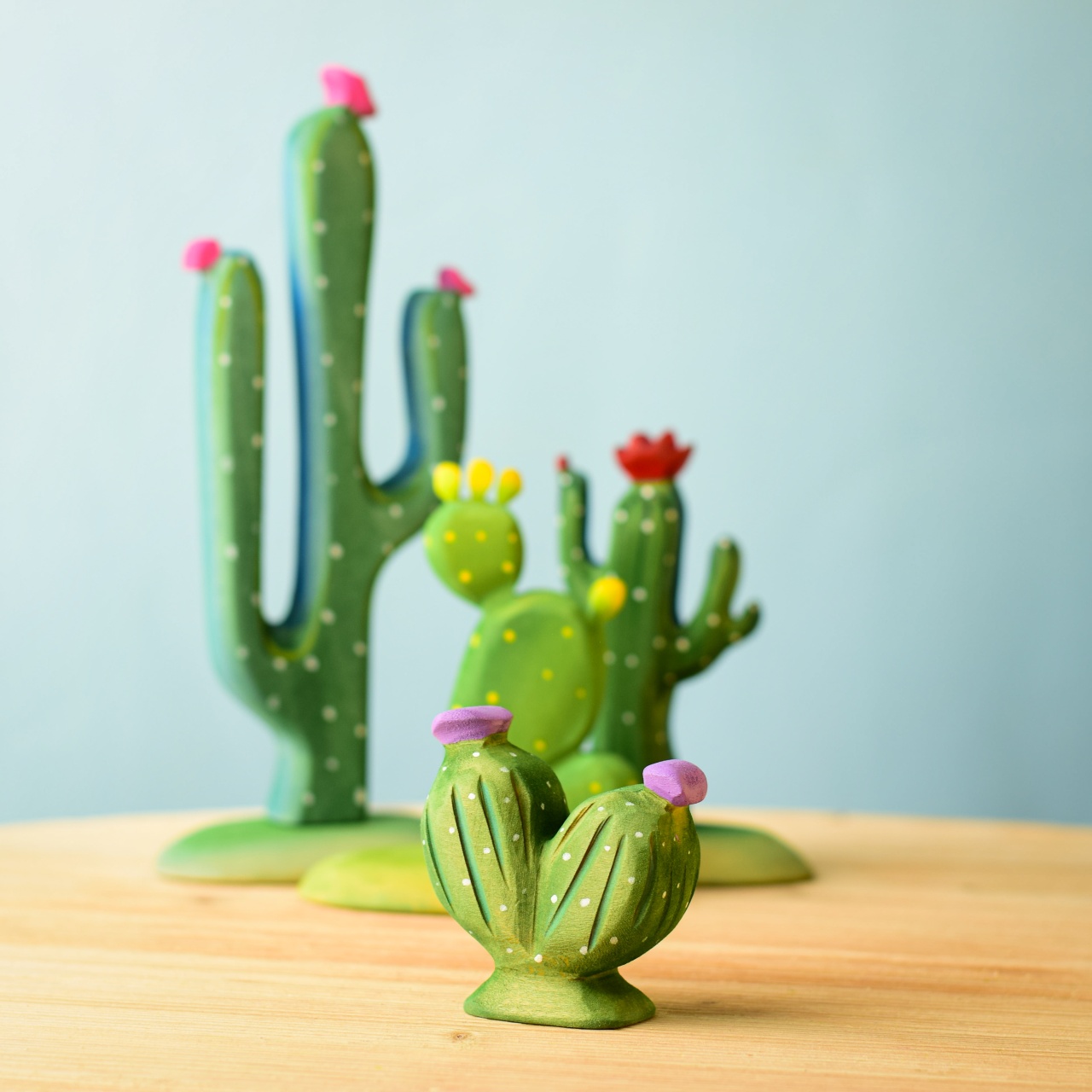 Cactus Pernă cu Ac