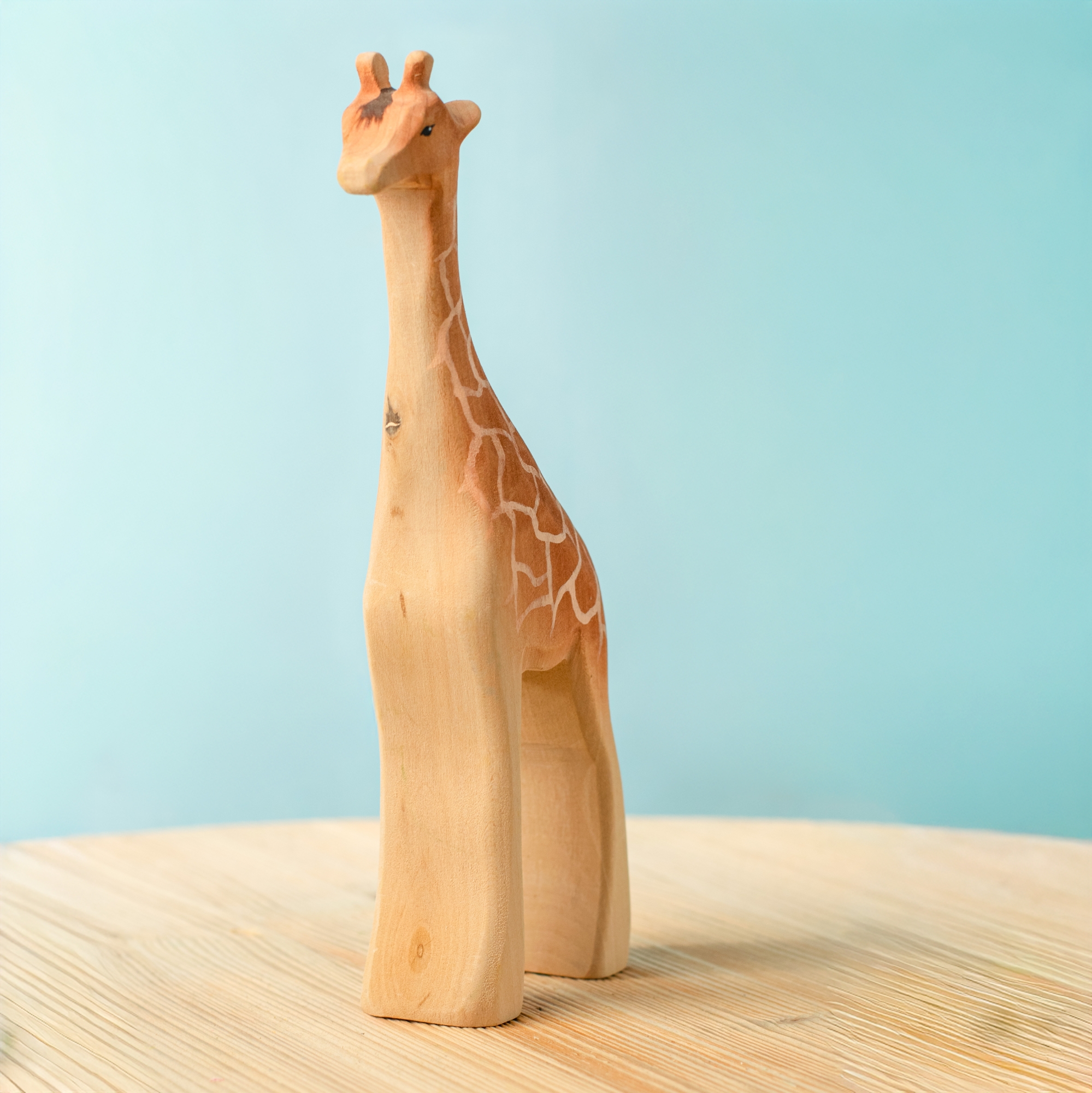 Giraffe Male Special