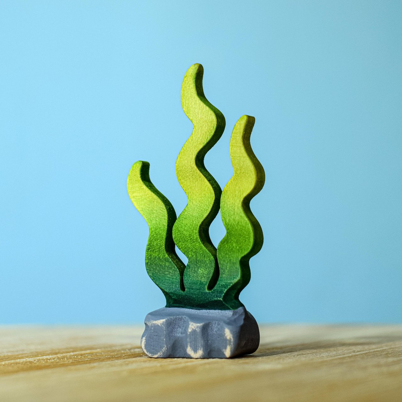 Seaweed Sugar Kelp