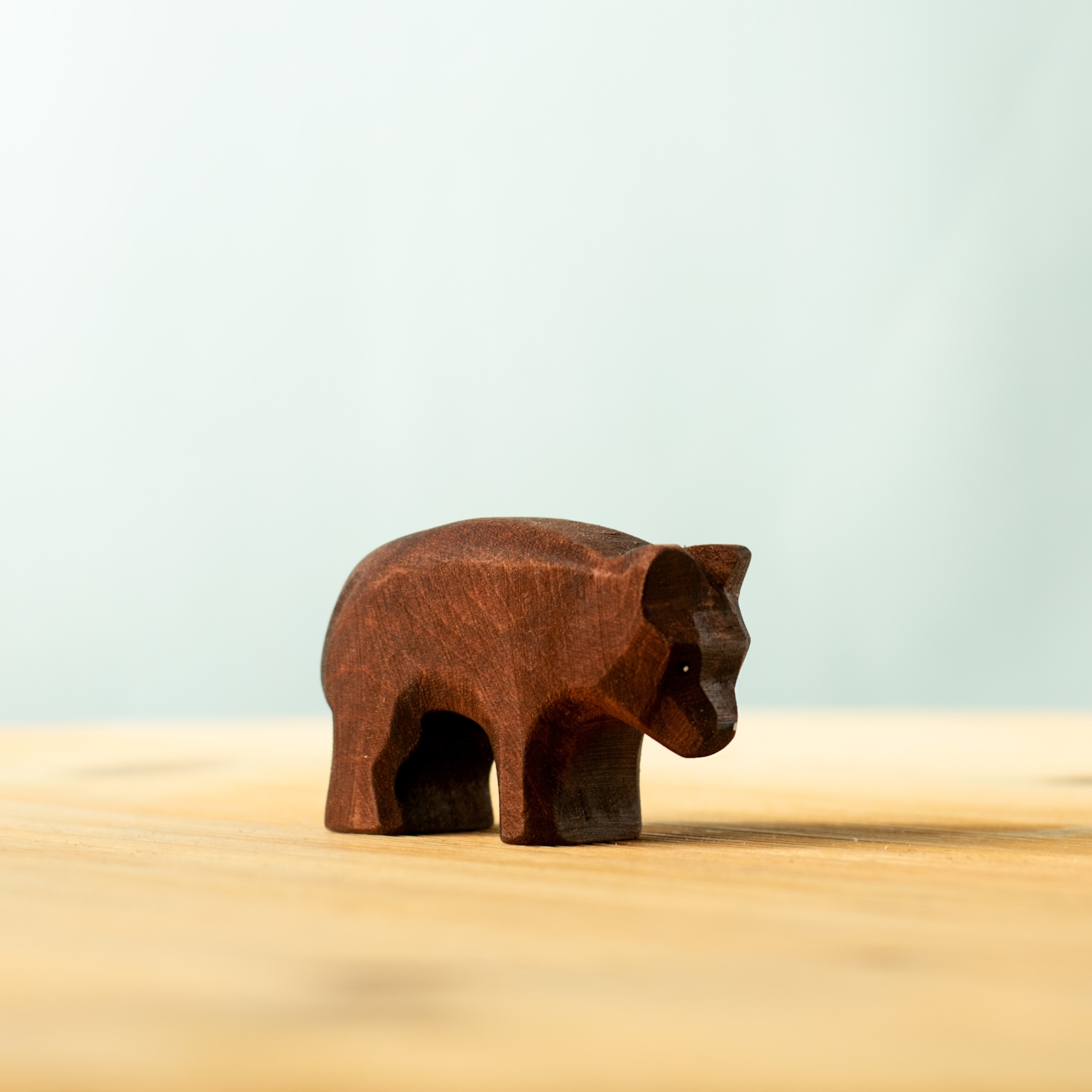 Bear Cub Special
