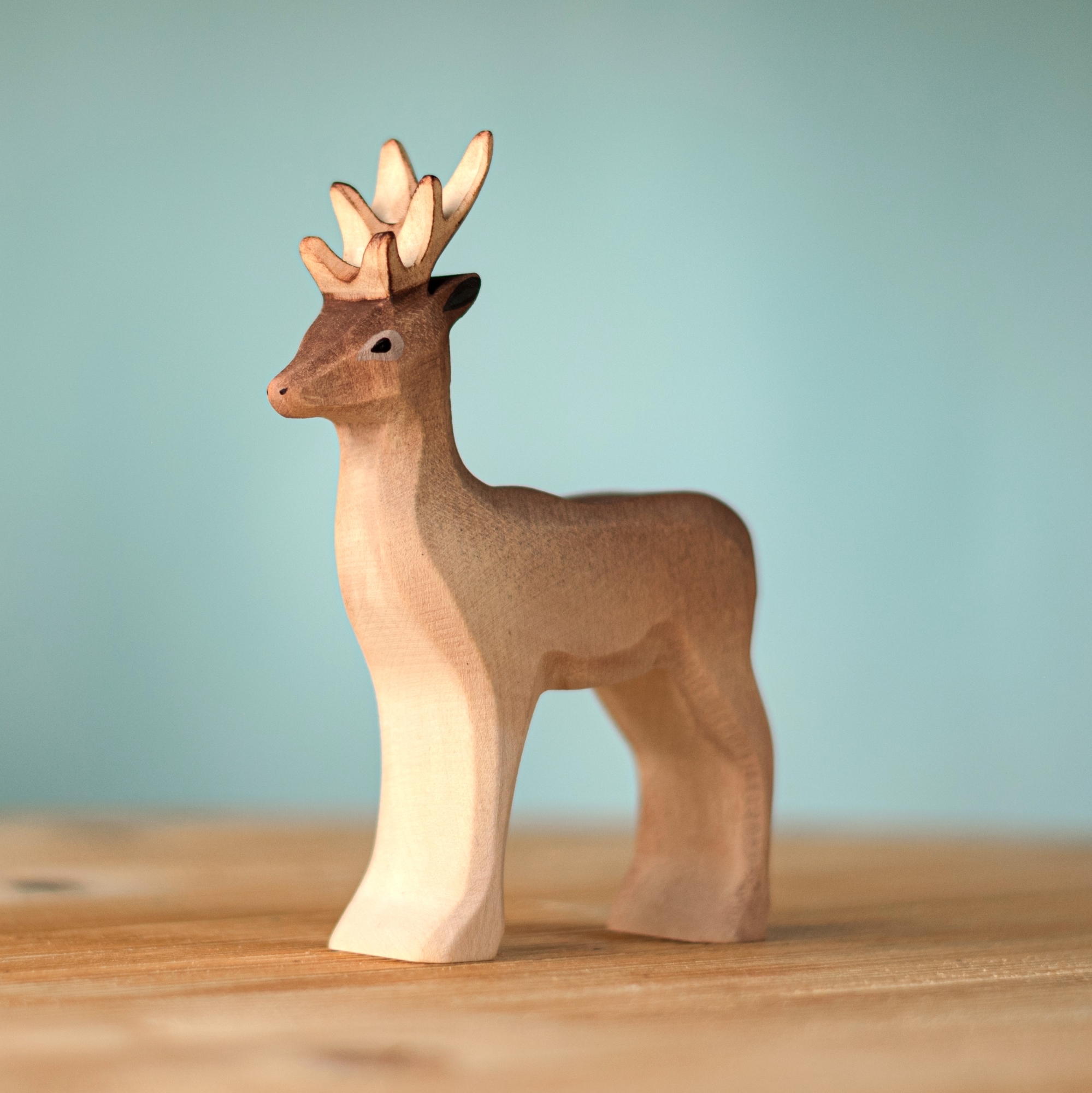 Female Reindeer