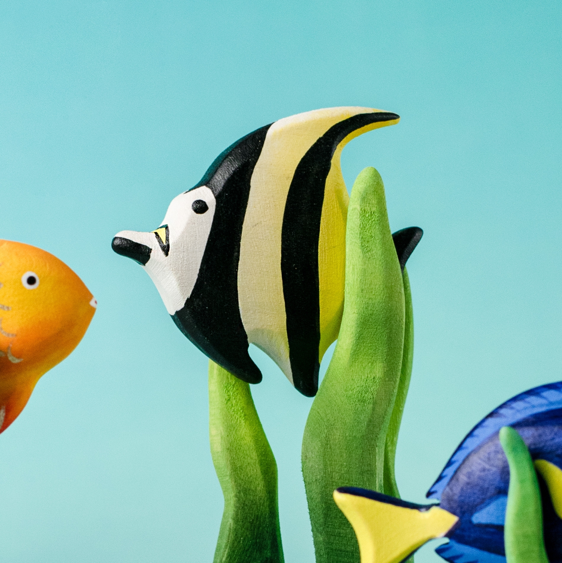 Moorish Idol Fish