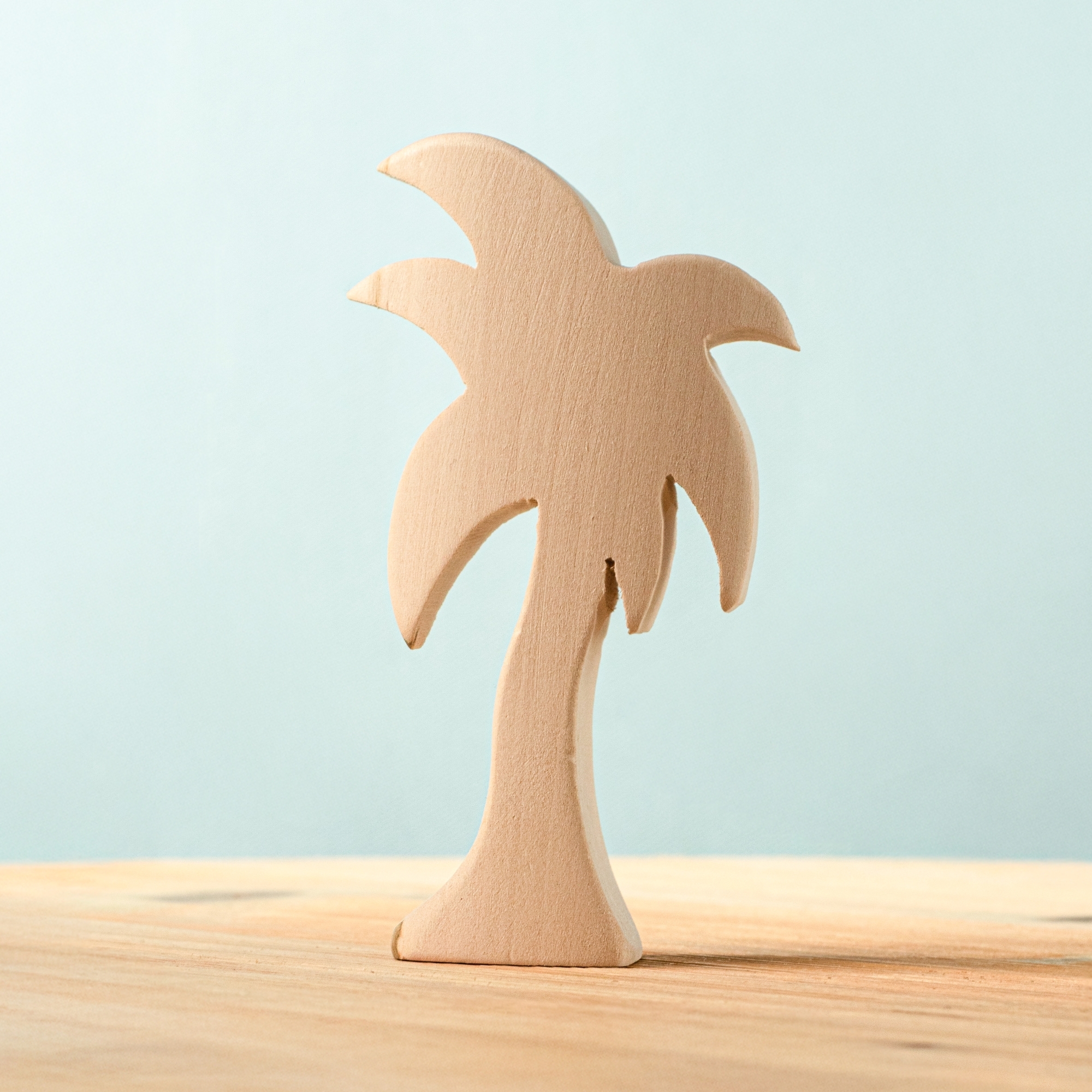 Palm Tree BLANK Special