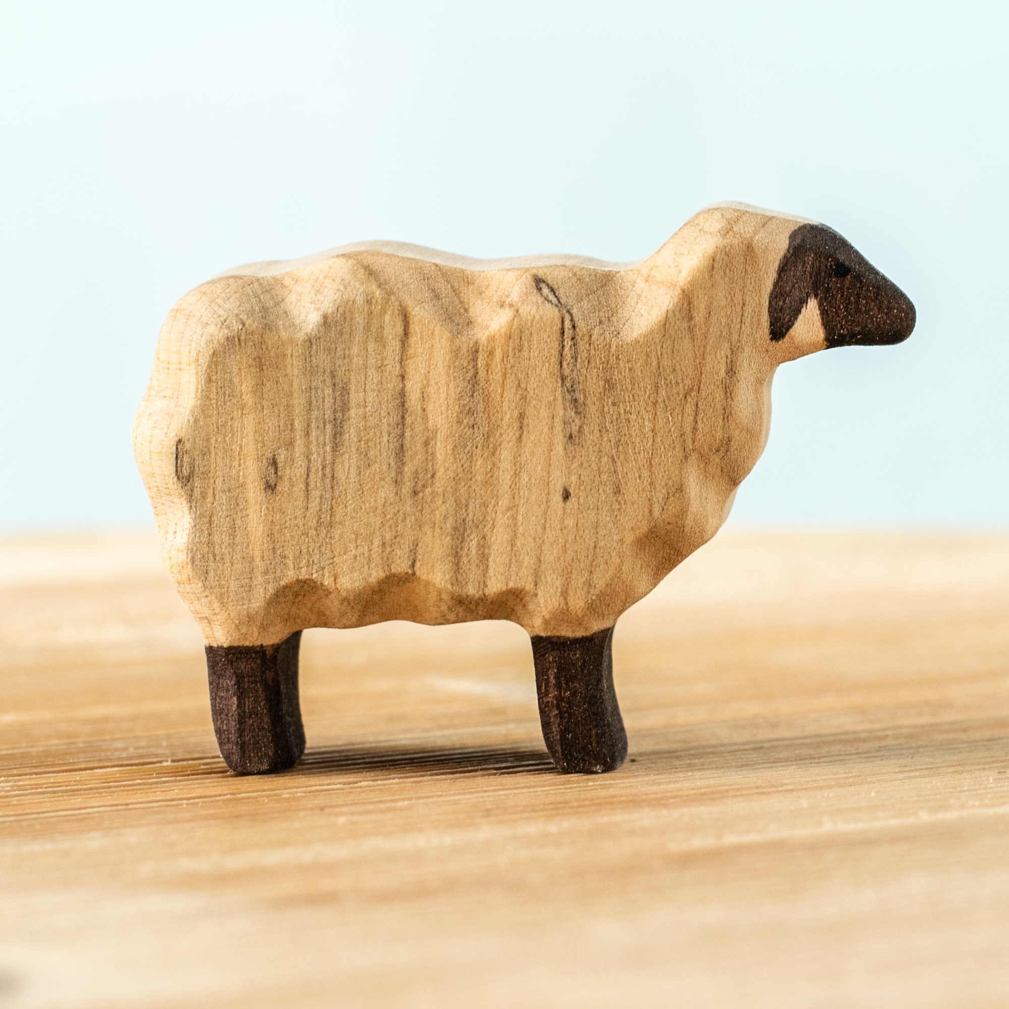 Sheep Special