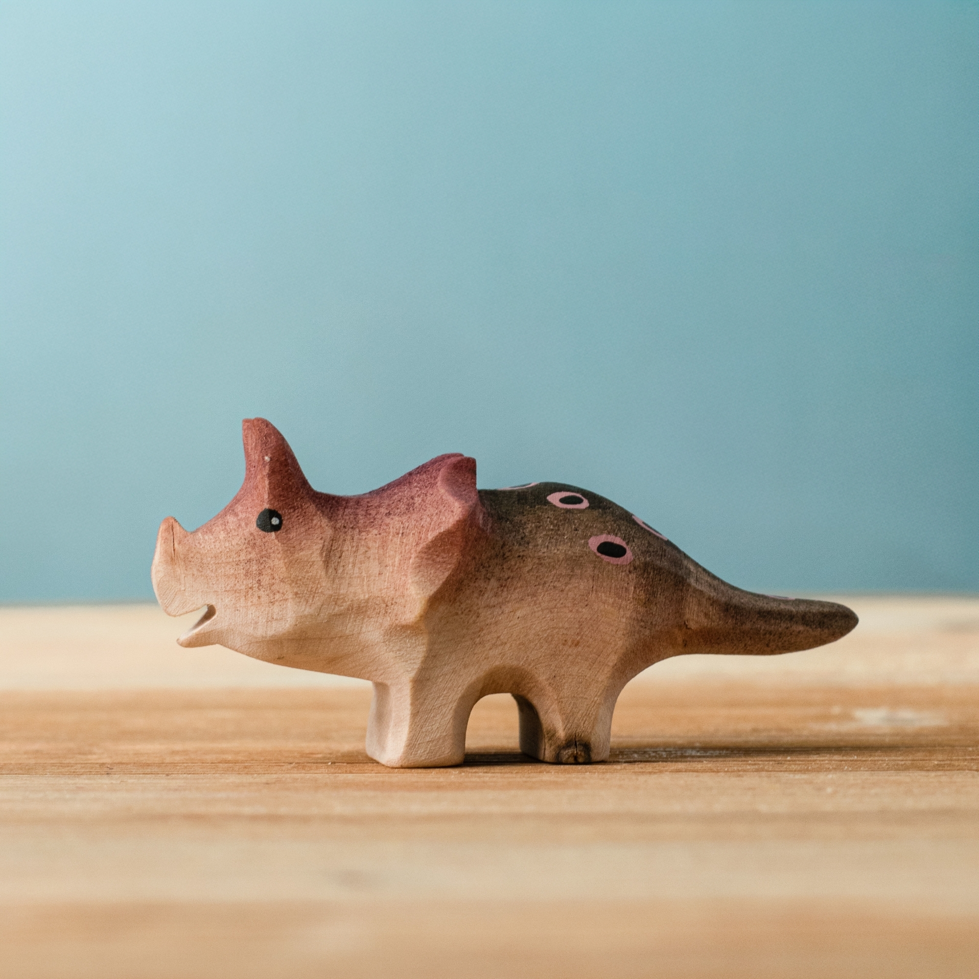 Triceratops Baby Special